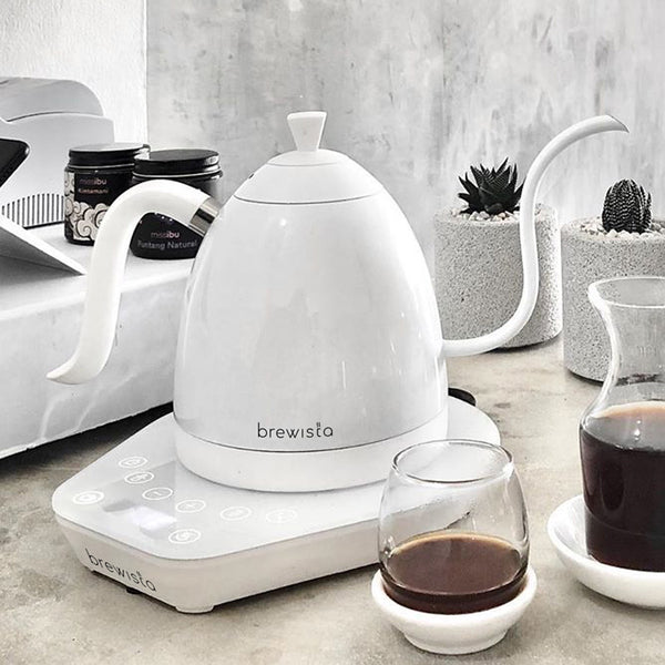 Brewista Artisan 1.0L Kettle - White on White